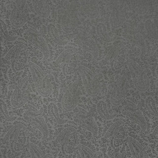 Pashmina paisley print finished with tassels