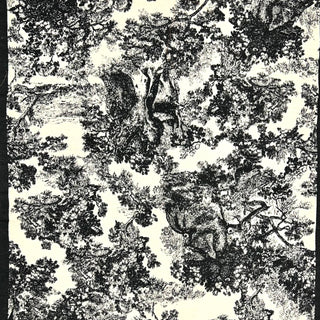 Winter forest print on cream background scarf